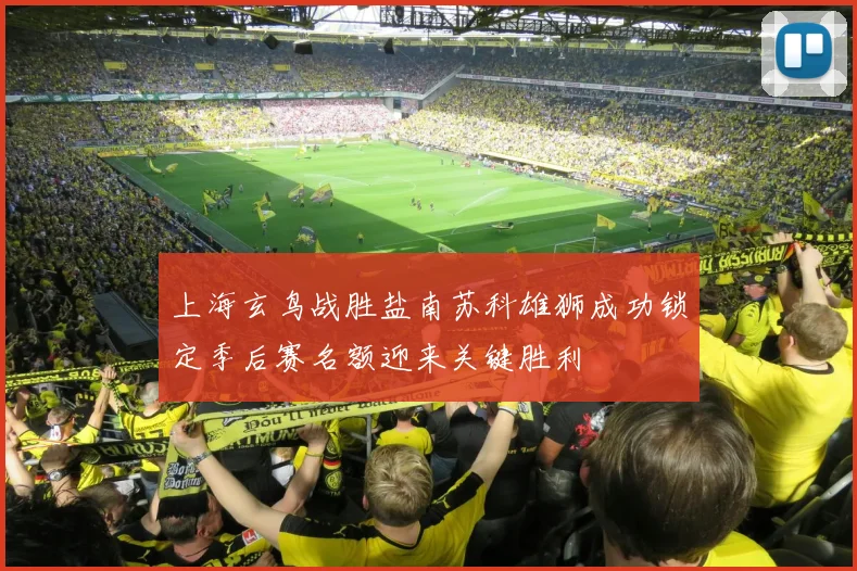 上海玄鸟战胜盐南苏科雄狮成功锁定季后赛名额迎来关键胜利